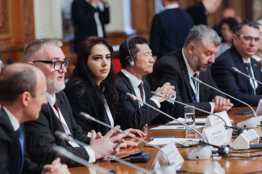 tema-dezbaterii-cibernetice