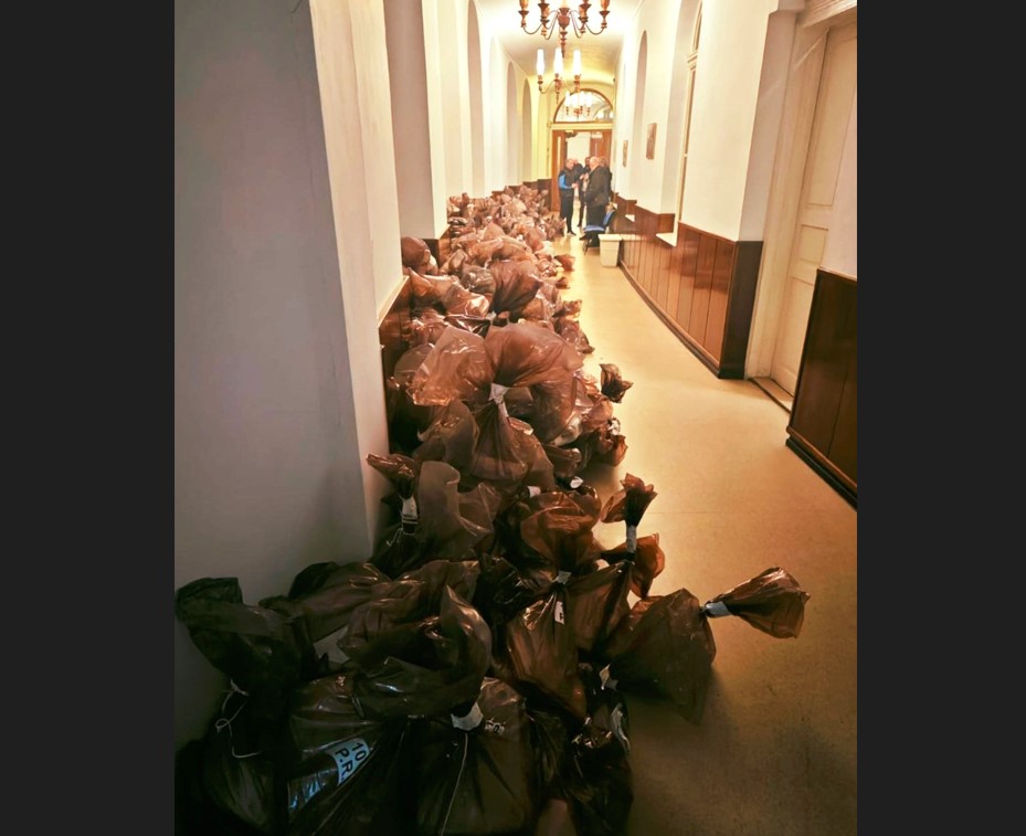 curtea constituționlă alegerilor