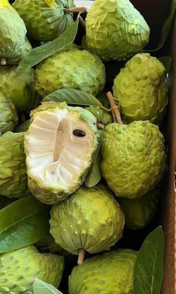 Cherimoya - Jurnalist.ro Fructele, rare