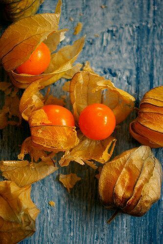 Physalis - Jurnalist.ro Fructele, rare