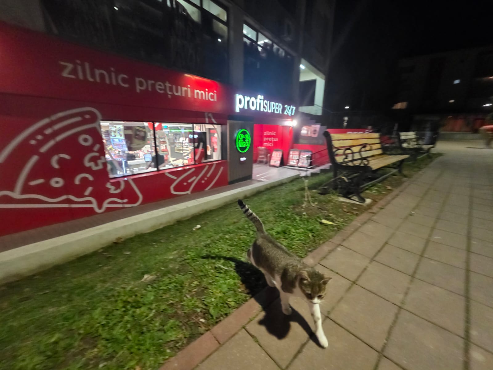 IMG-20251120-WA0004 - Jurnalist.ro