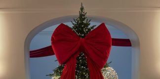 Crăciunul 2025 – între expresivitate, nostalgie și natură Crăciunul