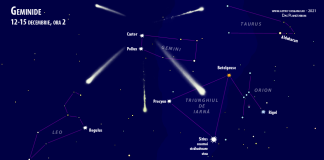 Spectacol pe cer. Noaptea în care cerul va fi luminat de stele căzătoare