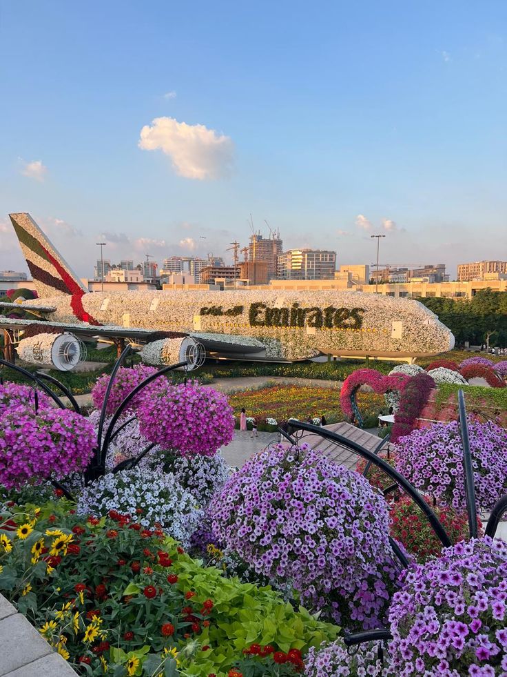 Dubai Miracle Garden