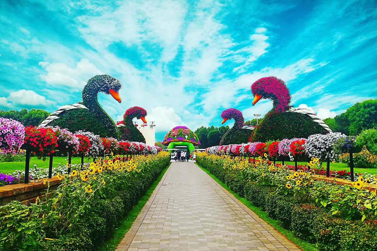 Dubai Miracle Garden 