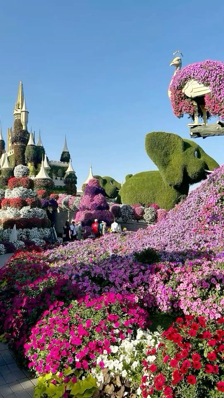 Dubai Miracle Garden