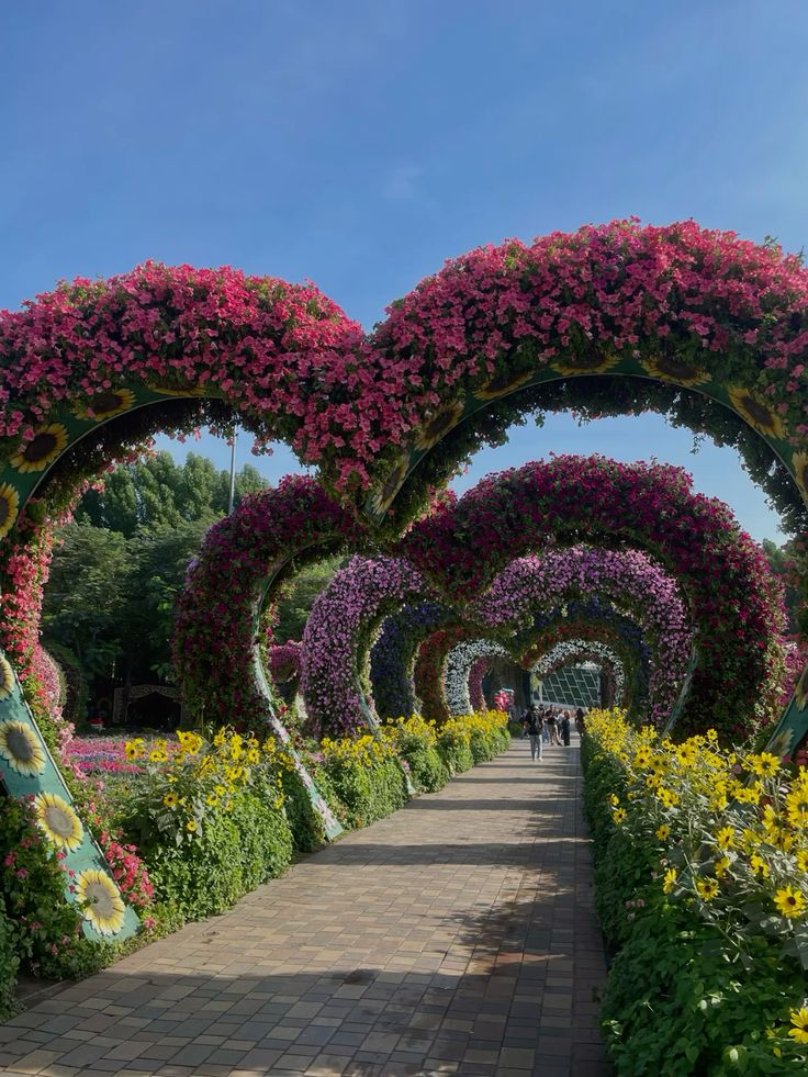 Dubai Miracle Garden